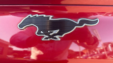 Ford Mustang Mach-E 258kW Extended Range 88kWh AWD 5dr Auto Electric Estate